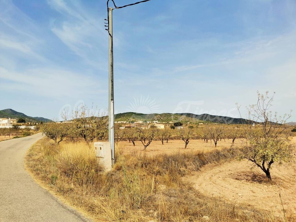 Helårsgrund i Raspay, Murcia - foto 4